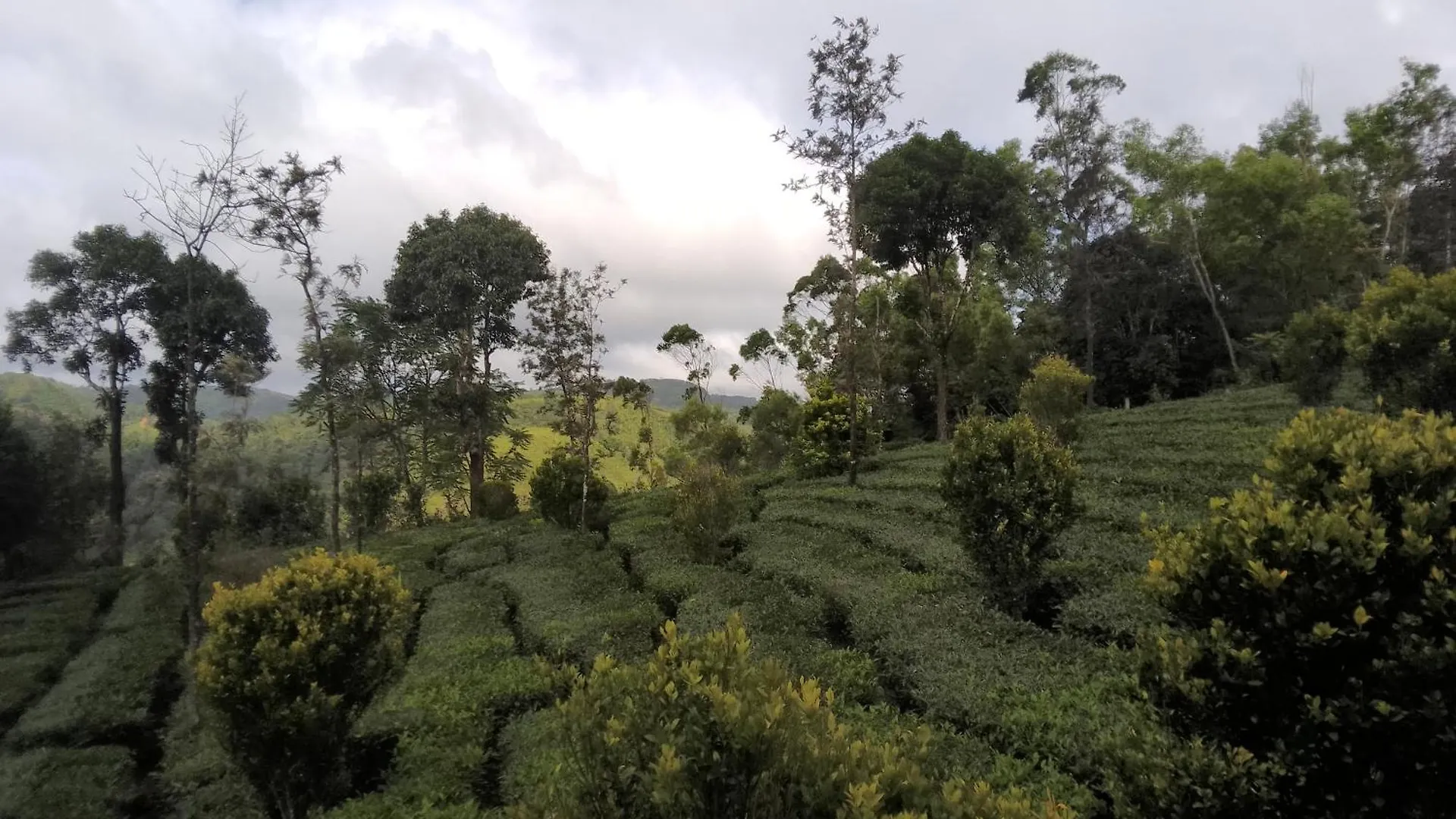 Shi'S Vagamon Hill Retreat- Private Villa On Hills