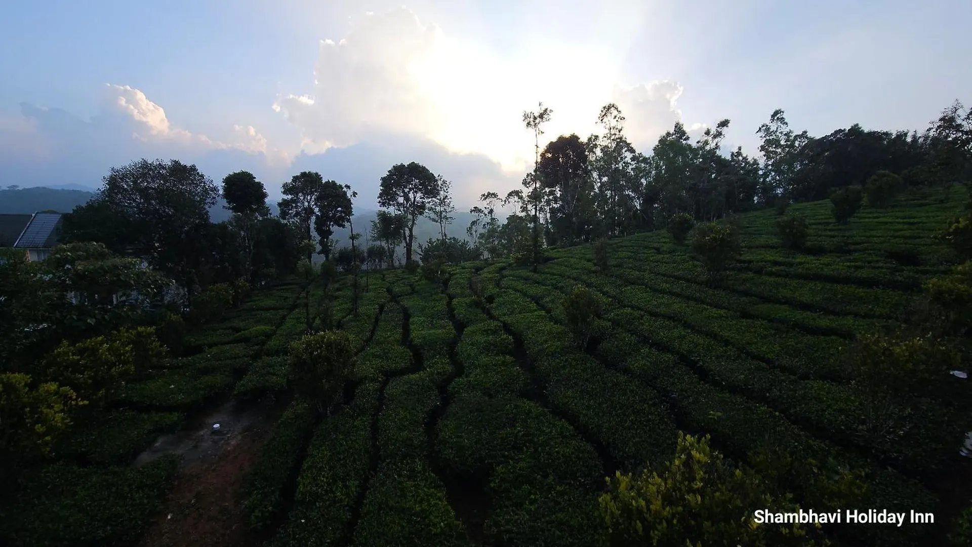 Shi'S Vagamon Hill Retreat- Private Villa On Hills الهند