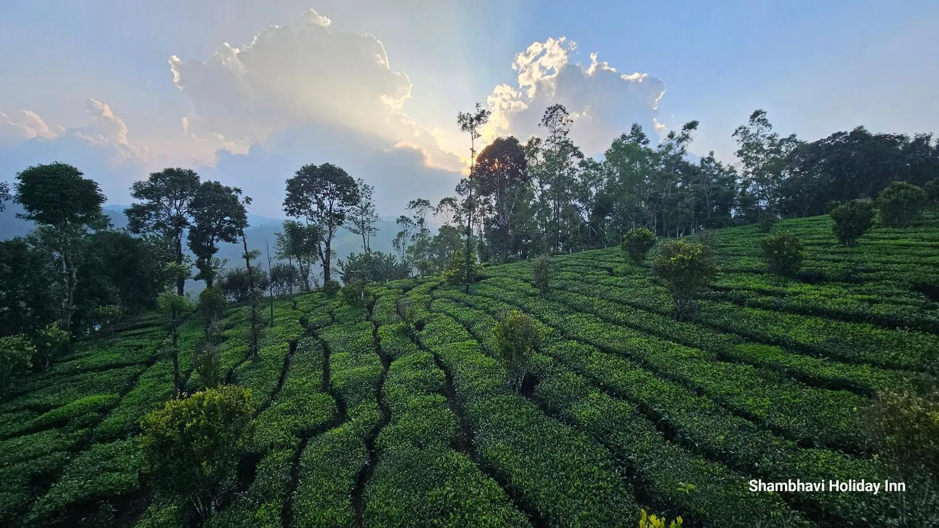 Shi'S Vagamon Hill Retreat- Private Villa On Hills